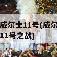 欧洲杯威尔士11号(威尔士憾失欧洲杯11号之战)