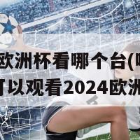 2024欧洲杯看哪个台(哪家电视台可以观看2024欧洲杯)