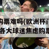 欧洲杯购票难吗(欧洲杯门票困扰购买者 各大球迷焦虑购票？)